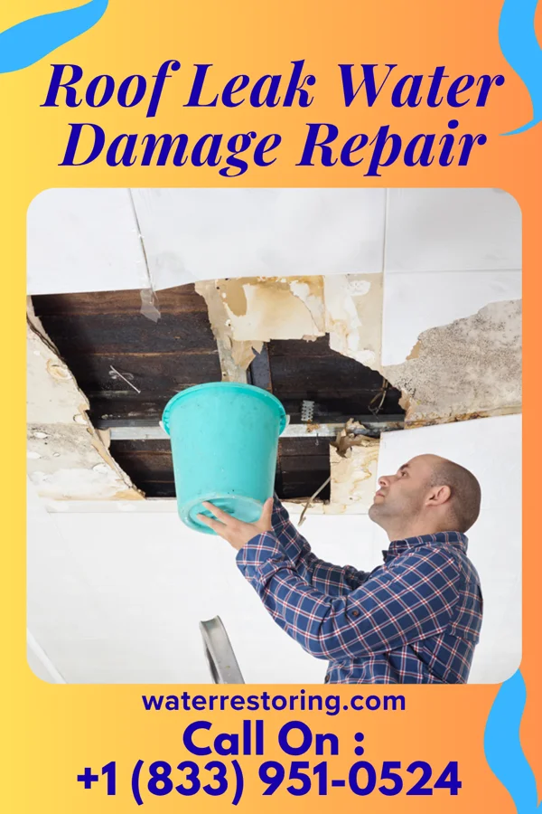 Roof Leak Water Damage Repair in Cadillac, MI